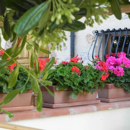 Bed & Breakfast Il Fortino Lido di Camaiore