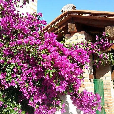 Bed & Breakfast Il Fortino 3*