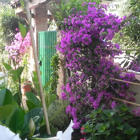 Couette-café Il Fortino 4*