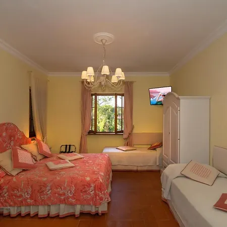 Il Fortino 4* Lido di Camaiore